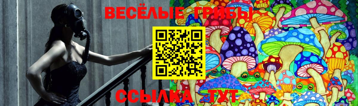 Псилоцибиновые грибы мухоморы  Галлюциногенные грибы Magic Shrooms  Вход с VPN  Медногорск 