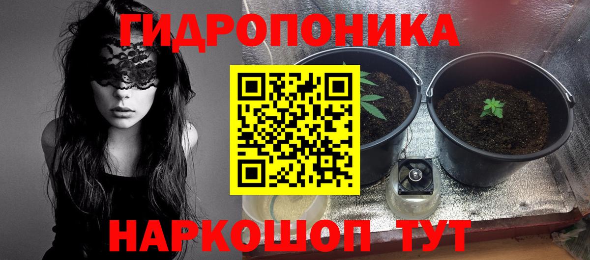 Медногорск  Бошки Шишки конопля  Вход с VPN  Конопля ГИДРОПОН  МАРИХУАНА ГИДРОПОН 